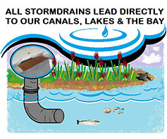 AllOurStormdrains